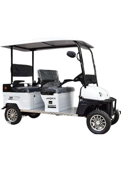 Electiric Scooter 4 Seater